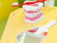 Регулярная чистка зубов положительно сказывается на здоровье сердечно-сосудистой системы